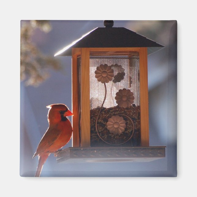 Red Cardinal Magnet (Front)