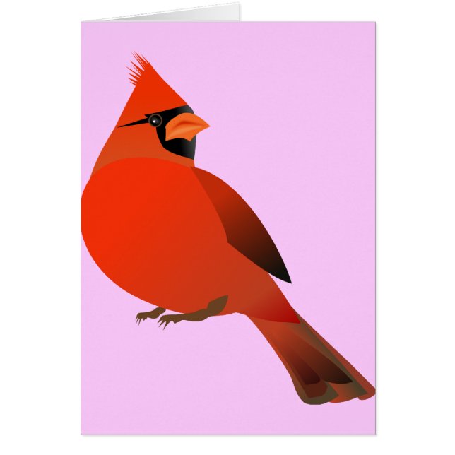 Red Cardinal Male Bird (Front)