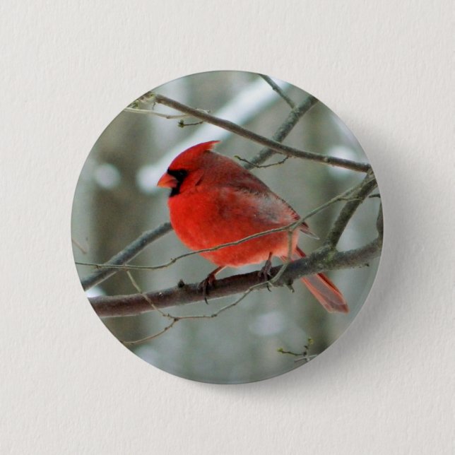 Red Cardinal (Male) Wildlife Button (Front)