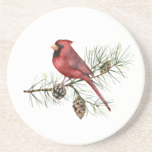 Red Cardinal on Branch Pine Cones Coaster
