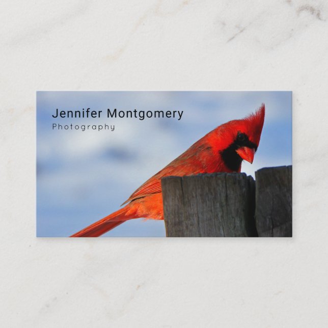 Red Cardinal on Wooden Stump Business Card (Front)