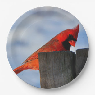 Red Cardinal on Wooden Stump Paper Plate