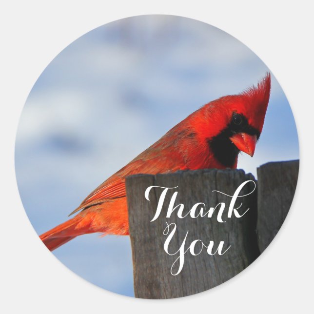 Red Cardinal on Wooden Stump Thank You Classic Round Sticker (Front)