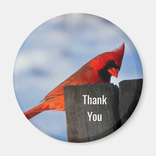 Red Cardinal on Wooden Stump Thank You Magnet (Front)