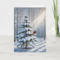 Red Cardinal Perched On Snowy Pine Tree