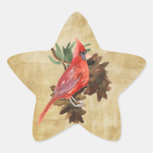 Red Cardinal Pine Cones Holiday Star Stickers