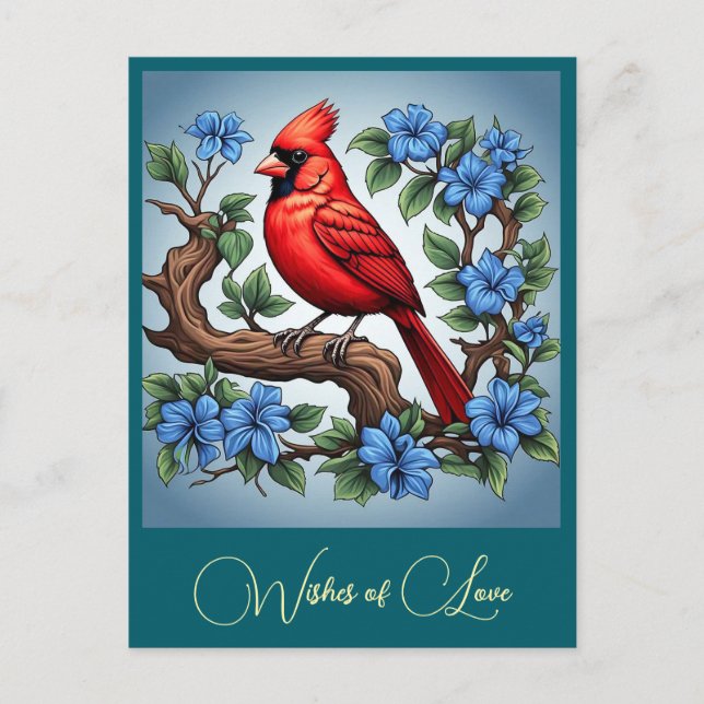 " RED CARDINAL " POSTCARD (Front)