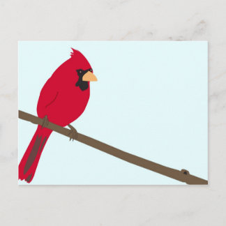 Red Cardinal Postcard