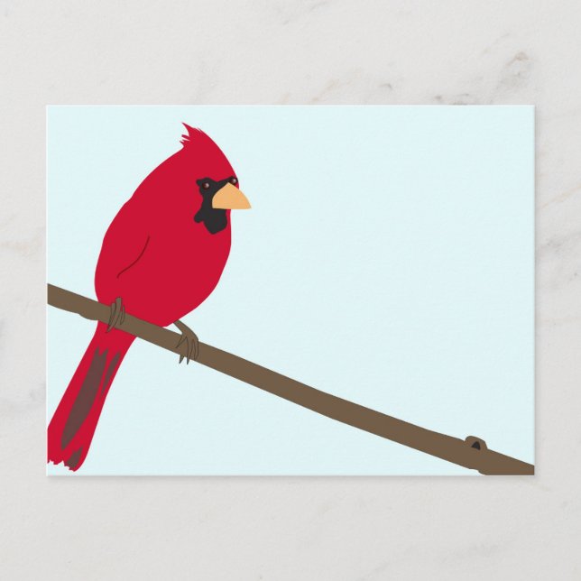 Red Cardinal Postcard (Front)