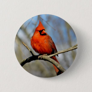 Red Cardinal Profile 2 Inch Round Button