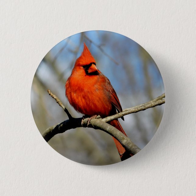 Red Cardinal Profile 2 Inch Round Button (Front)