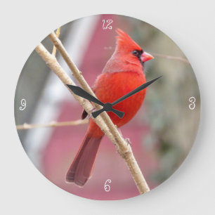 Red Cardinal Round Wall Clock