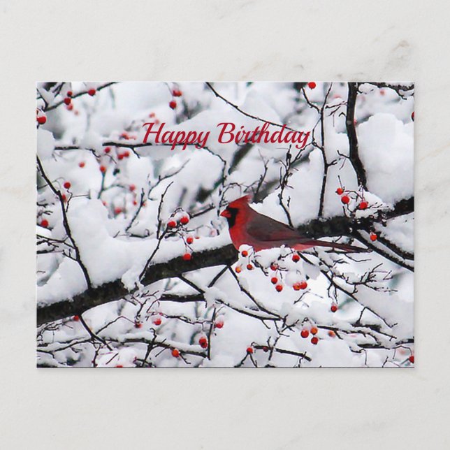 Red Cardinal Snow Tree Photo Birthday Postcard (Front)