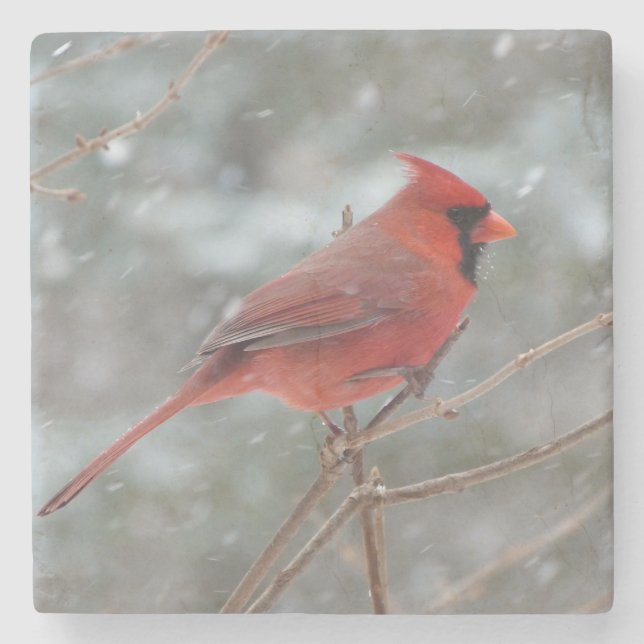 Red Cardinal Stone Coaster (Front)