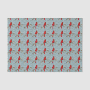 Red Cardinal , the bird of Christmas Tissue Paper
