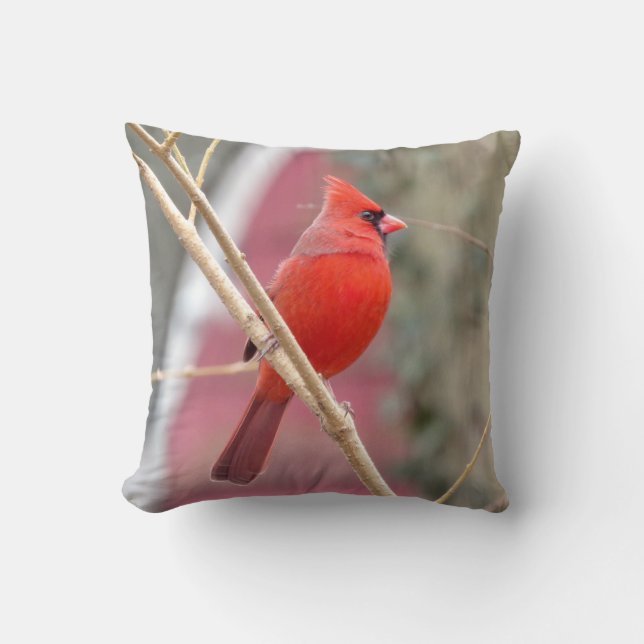 Red Cardinal Throw Pillow (Front)