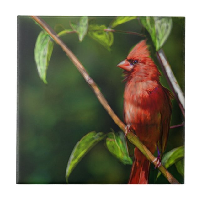 Red Cardinal Tile (Front)