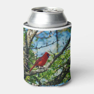 Red Cardinal Wild Bird Photograph Can Cooler