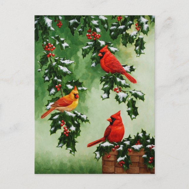 Red Cardinals and Christmas Holly Holiday Postcard (Front)