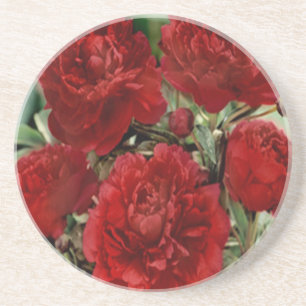Red Carnation Flowers Coaster