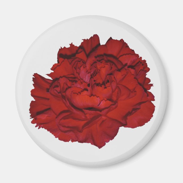 Red Carnation Magnet (Front)