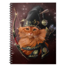 Red cat-archer