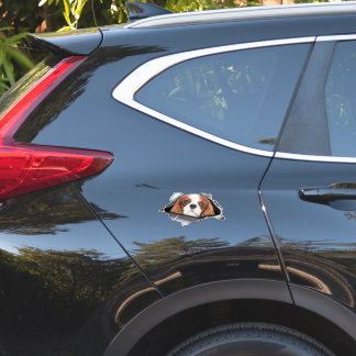 Red Cavalier King car decal, Red Cavalier King