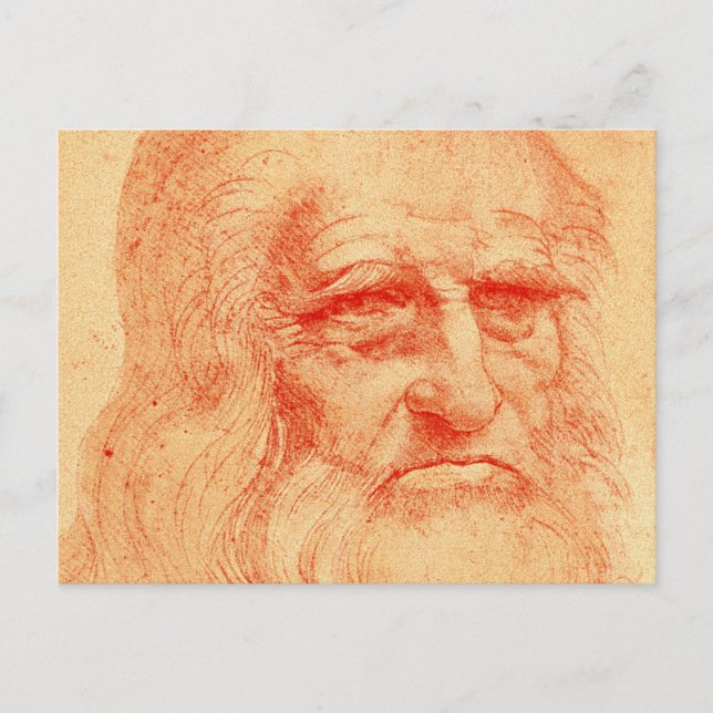 Red chalk self portrait of Leonardo da Vinci Postcard (Front)