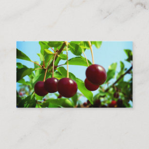Red cherries - add your own touch business card
