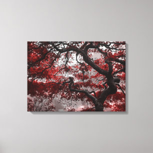 Red Cherry Blossom Tree Canvas Print