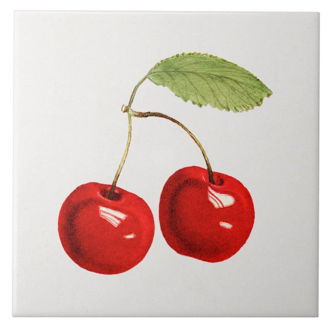 Red Cherry Illustration Tile (Front)