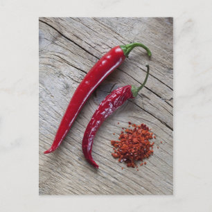 Red Chili Pepper Postcard