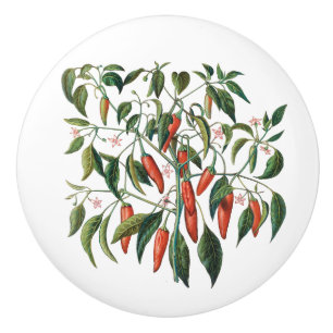 Red Chili Peppers Botanical Round Knob