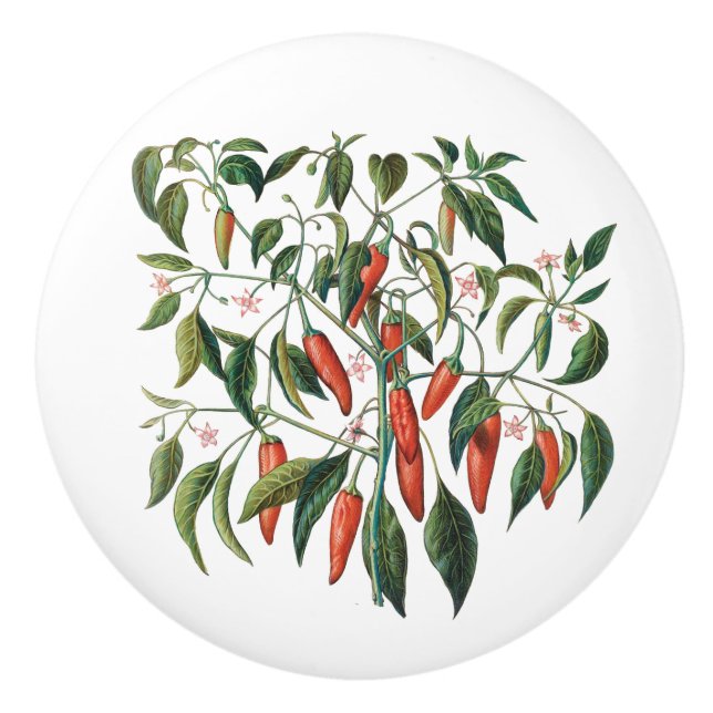 Red Chili Peppers Botanical  Round Knob (Front)