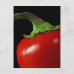 Red chili postcard