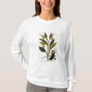 Red Chilli (colour engraving) T-Shirt