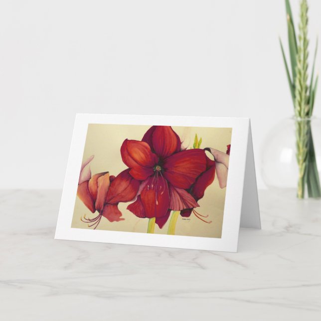 Red Christmas Amaryllis Painting White Border Card (Front)
