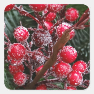 Red Christmas Berries. Square Sticker