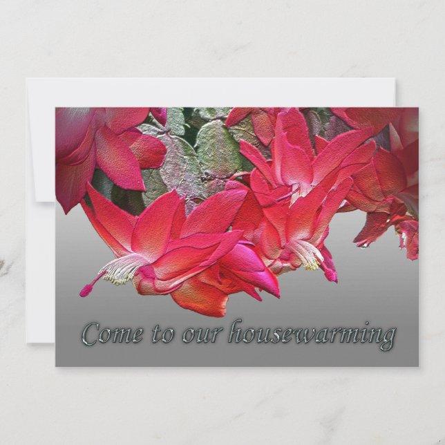 Red Christmas Cactus Invitation au réchauffement d (Devant)
