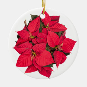 Red Christmas flower Ceramic Ornament