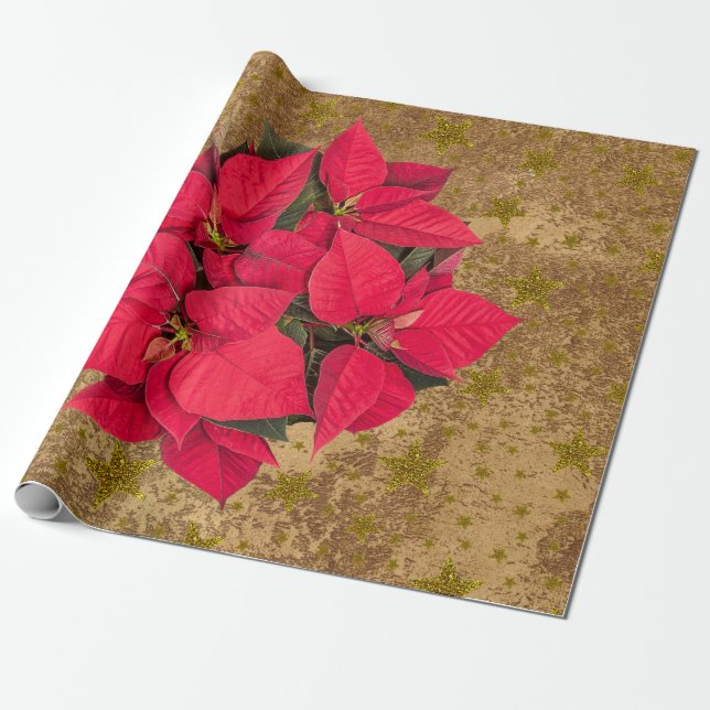 Red Christmas flower, gold stars on abstract paper (Unrolled)