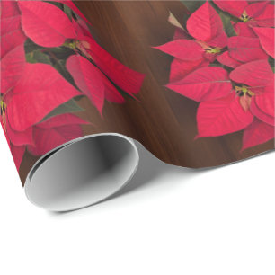 Red Christmas flower on brown Wrapping Paper