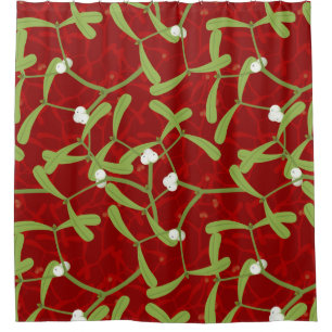 red christmas mistletoe