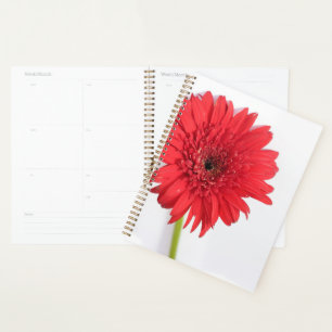 Red Chrysanthemum Petals Flower Floral Planner