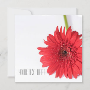 Red Chrysanthemum Your Text Flat Card