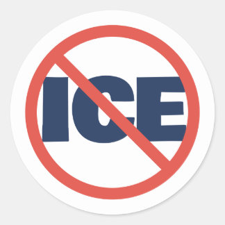 Red Circle Anti-Trump ICE Political Opinion Classic Round Sticker