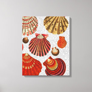 Red Clam Shells Canvas Print