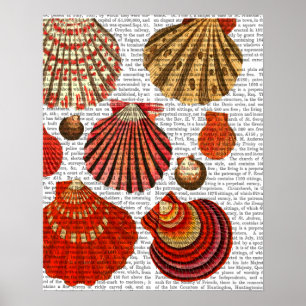 Red Clam Shells Poster