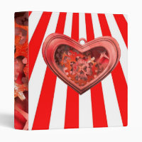 red clockwork heart binder
