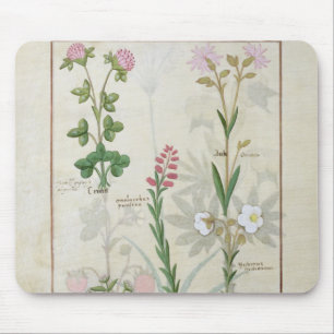 Red clover & Aube Bellidis Onobrychis & Hyssopus Mouse Pad
